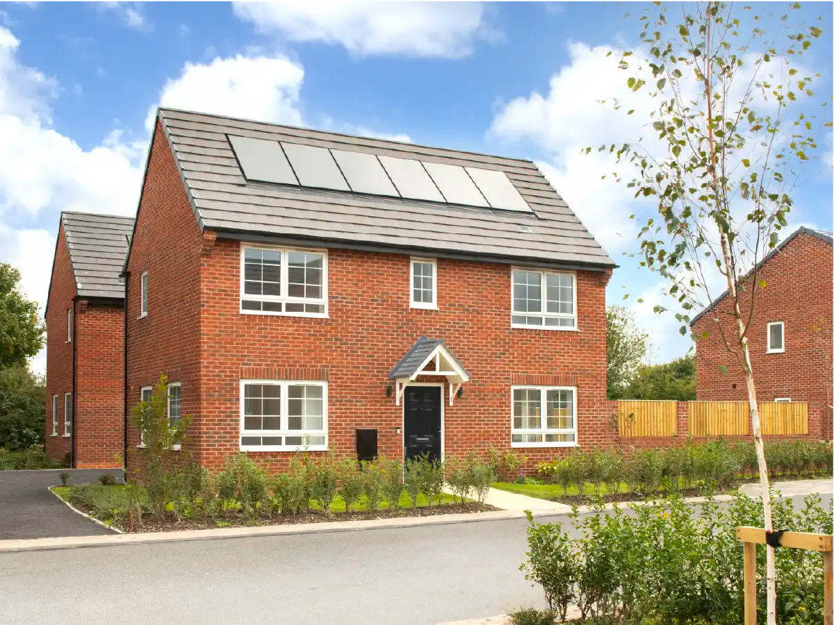 Newett Homes Development