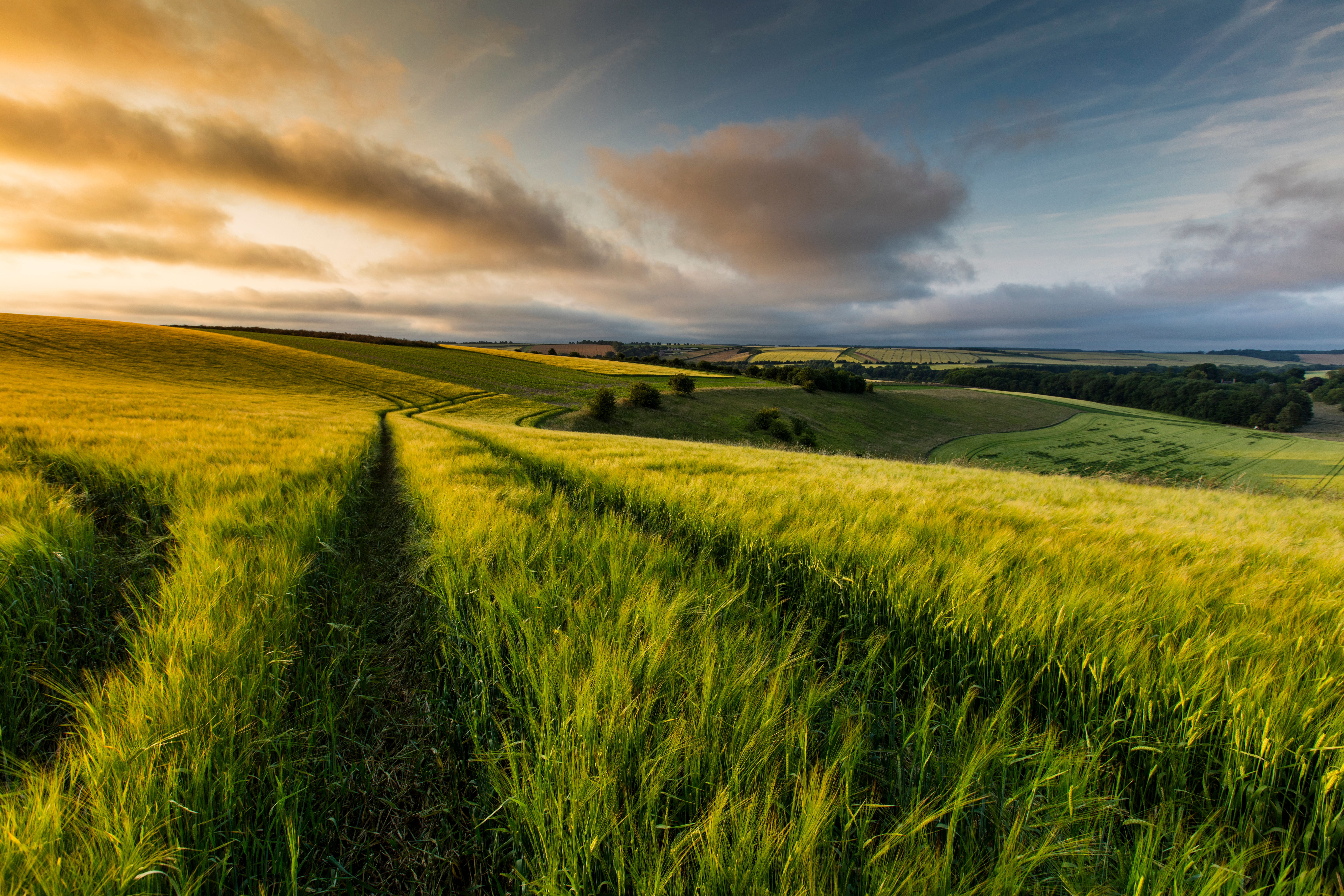 View of the Lincolnshire Wolds