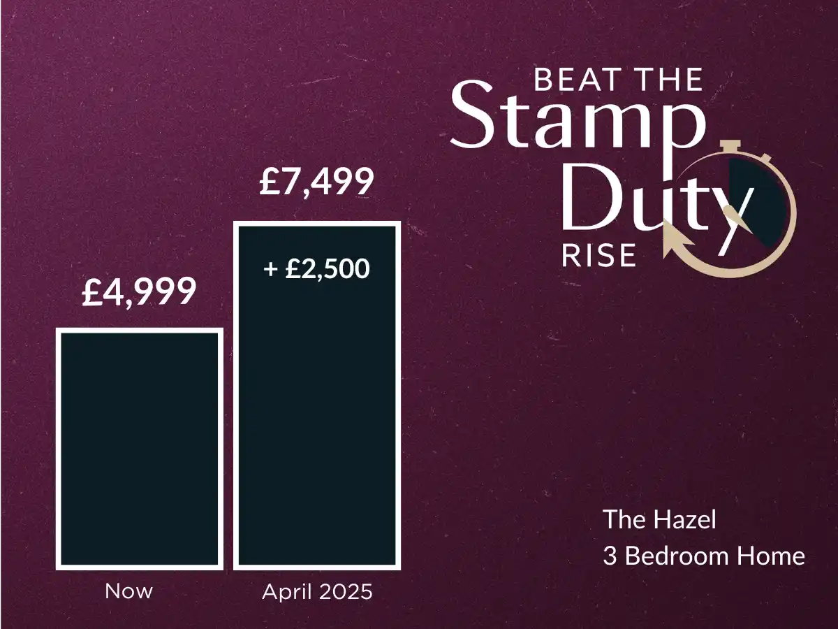 stampduty-hazel_--